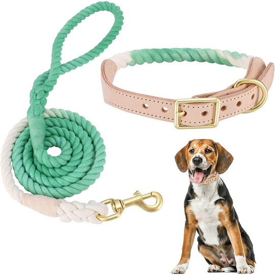 Perle Rare - Dog Leash and Collar Set - Woven Cotton Rope with Leather Leash Collar - Adjustable D-Ring - Large Dogs