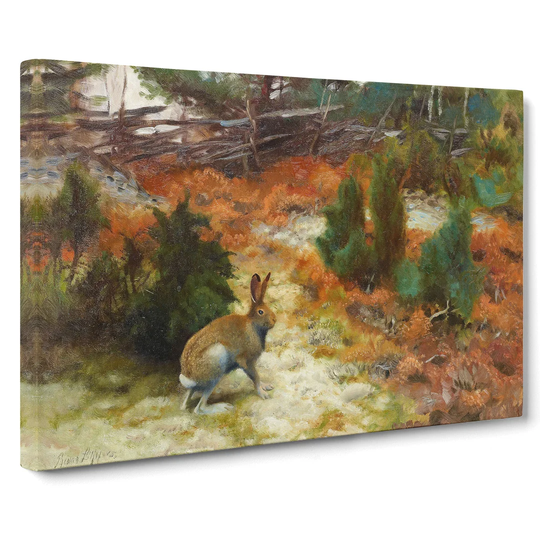 Hare Rabbit by Bruno Liljefors - Wrapped Canvas Painting