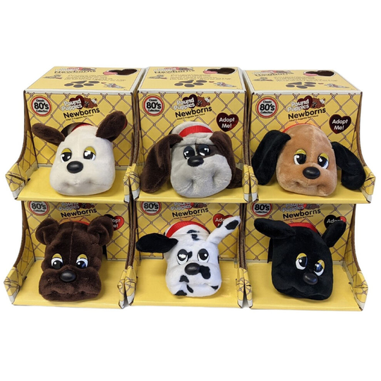 Pound Puppies Newborns (One at Random)
