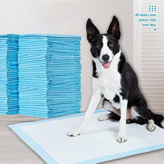 40X Extremely Absorbent Puppy Pad Training Mat Cushion for Dogs 33*45CM - Blue