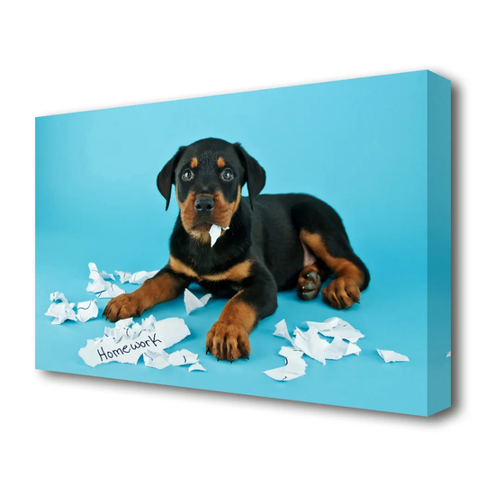 'Naughty Rottweiler Puppy Dog Wild Life' Photographic Print on Canvas