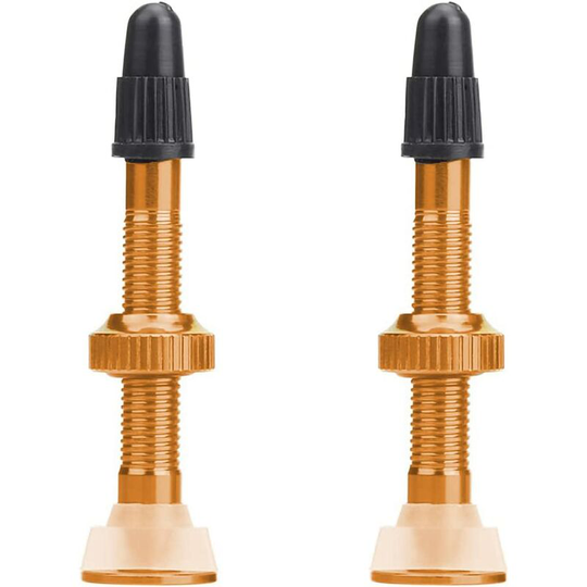 2pcs tubeless valve stem mtb bike valve stem golden aluminum alloy