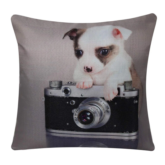 Deza Puppy Chihuahua The Photographer No Pattern And Not Solid Colour Scatter Cushion Cover