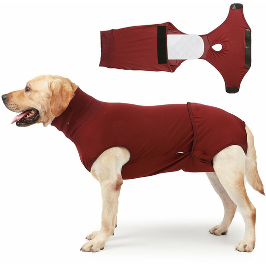 Dog Cat Recovery Suit After Operations Dog Replacement Onesie Neuter Cone Alternatives Belly Wound Bandages Puppy Diaper Diapers