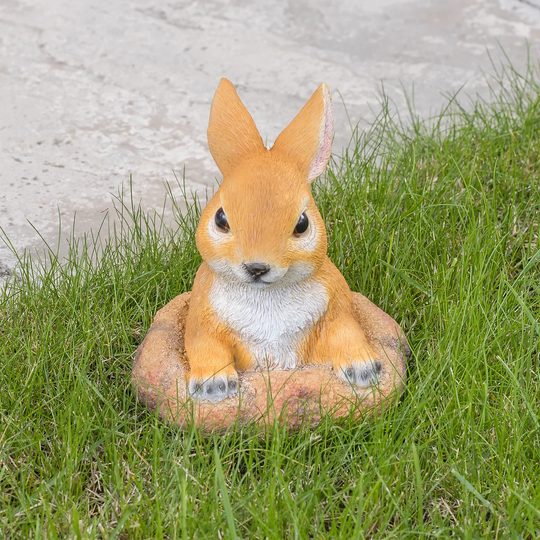 Wisniewski Curious Rabbit