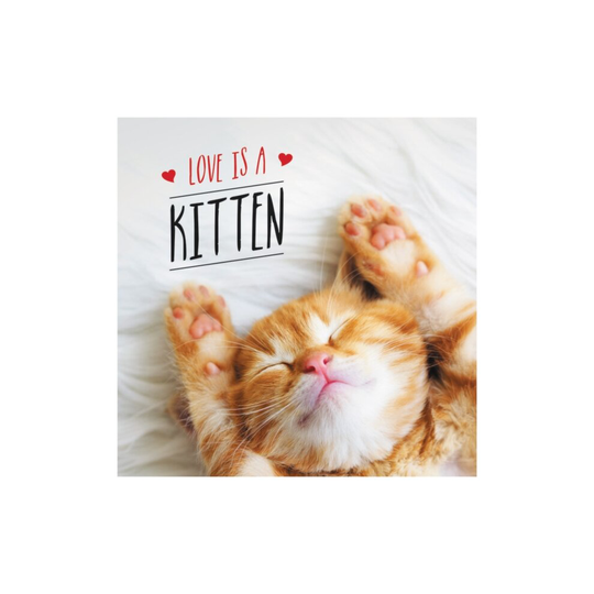 Love is a Kitten by Ellis & Charlie
