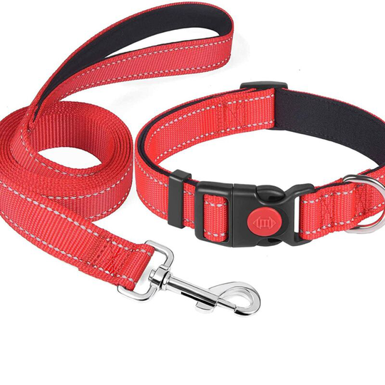 Perle Rare - Reflective dog collar filled with soft and breathable nylon reflective collar for pets, adjustable nylon, suitable for small and