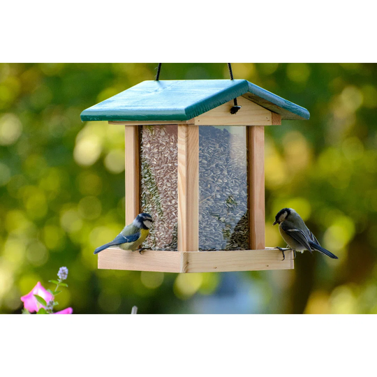 Amira-Jess Hopper Bird Feeder