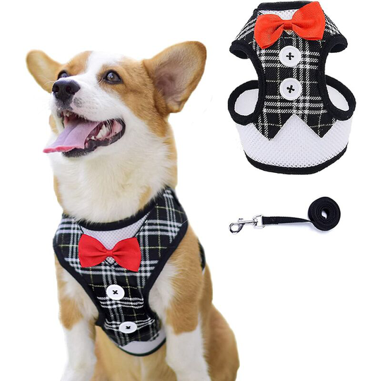 Pet Harness and Leash Adjustable Cat Vest Harness with Strap Vest Type Traction Belt for Cat Small Dog Kitten Puppy Rabbits (Black, Plaid)...