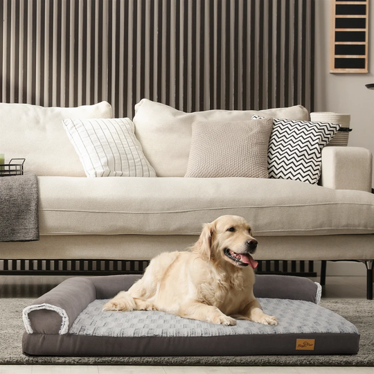 Memory Foam Orthopaedic Dog Sofa in Grey