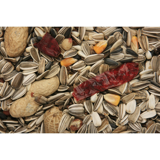 SkyGold Fruit & Aniseed Parrot Cage & Aviary Seed Mix 12.5Kg