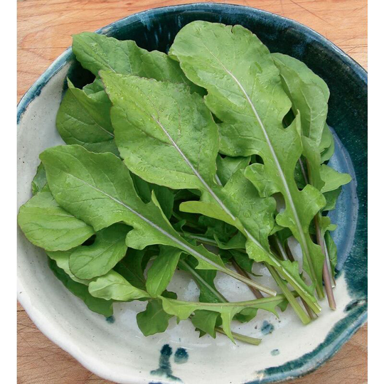 5g (Approx. 2500seeds per ) arugula/roquette/ruccola Seeds Eruca Sativa Very Low in Food Energy, High Level of Vitamins and microelements