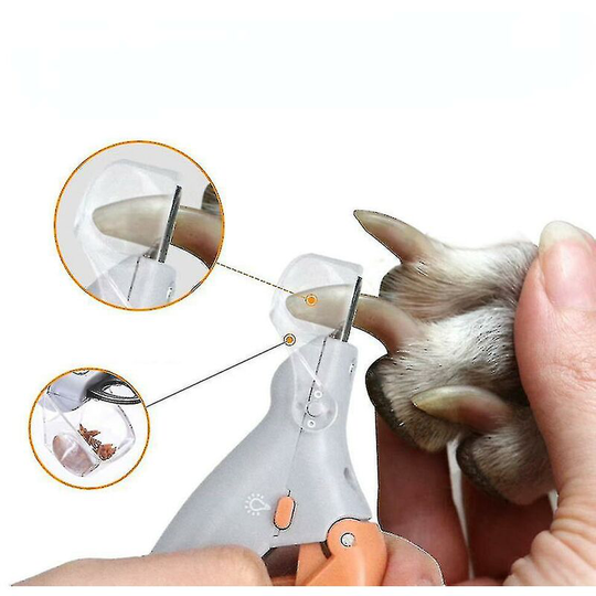 Professional Pet Nail Scissors Dog Cat Toenail Scissors led Light Pet Nail Clippers 1pc