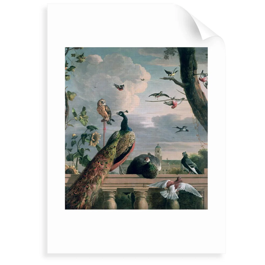 Palace of Amsterdam with Exotic Birds by Melchior de Hondecoeter - Painting Print