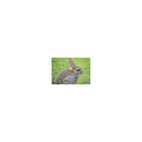 Rabbit Wire Netting Mesh galvanised 1050mm x 31mm x 50mts