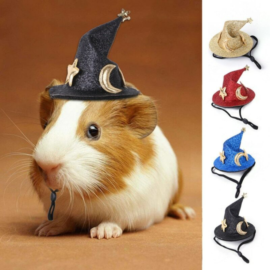 Piece New Hamster Pet Hat Halloween Santa Hat Star and Moon Props