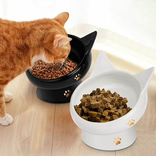 Morejieka - Cat bowl, raised cat food bowl anti-vomiting, inclined elevated cat food, flat face ceramic pet food bowl for cats, small dogs, protect