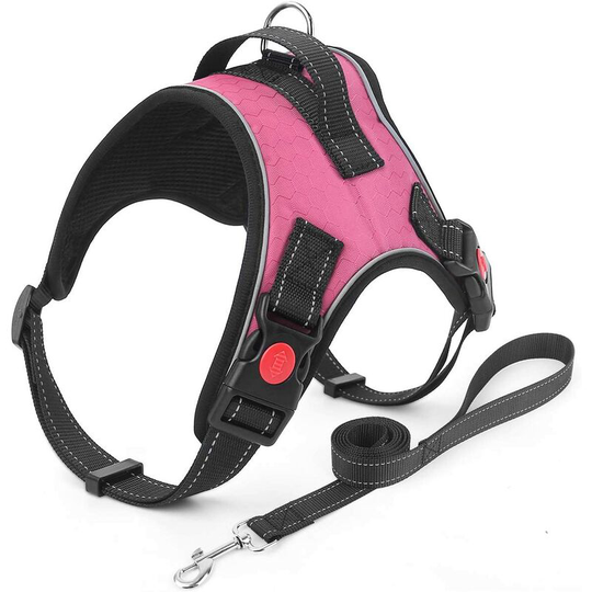 Briday - No Pull Dog Harness and Lead Set, Breathable Adjustable Comfort, Escape Proof Kitten Easy to Use Harnesses Buckle Puppy Animals, Small