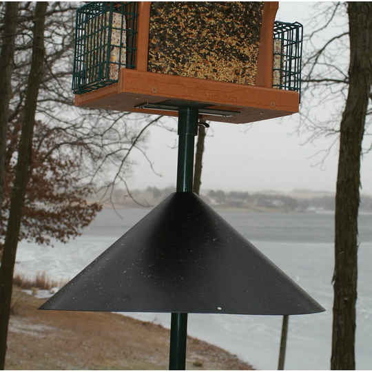 Quechee Squirrel Guard