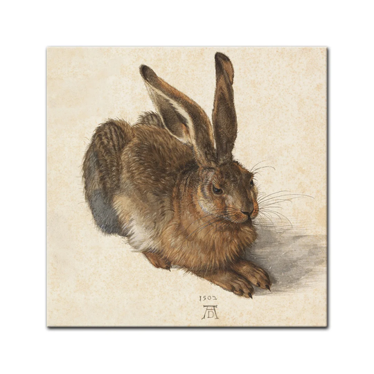 Hare by Albrecht Dürer Framed Painting Print on Canvas