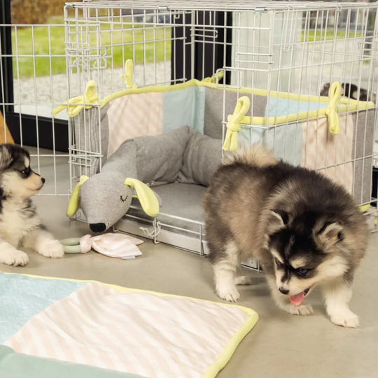 Beeztees Dog Crate 62 x 44 x 49cm Grey