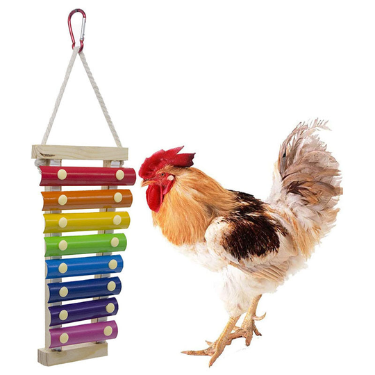 Pet Chickens Toy Medium and Large Parrots Toy Percussion Sound Toy for Chicken Hens House - Thsinde