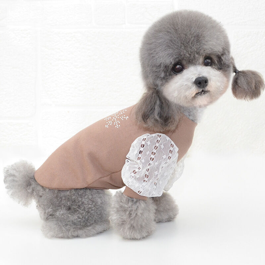 Spring and summer pet bottoming clothes dog two-legged clothes pet clothes puppy clothes Teddy Boomerang vip clothes m (chest 35', neck 28', back 25'