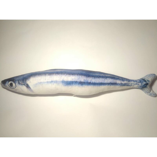 Cat Toy Fish Toy Catnip Cat Play Grass Cat Supplies (60cm, Saury)