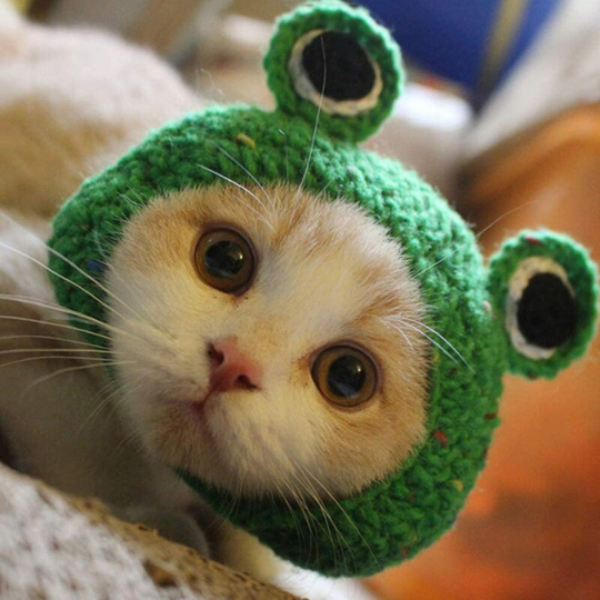 Adorable Pet Funny Hat Cartoon Frog Shape Pet Cap Weaving Puppy Cat Hat Pet 1PCS