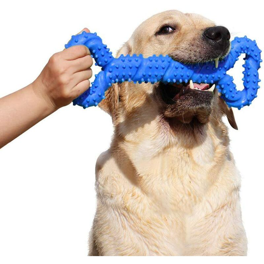 Perle Rare - Dog Chew Toys Resistant Rubber 13 inch Bone Shaped Dog Toy Puppies with Convex Design Solid Interactive Dog Toy for Aggressive Chewers