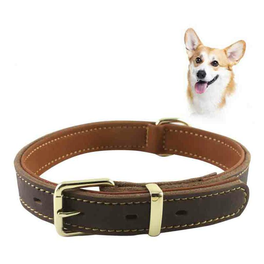 Cowhide Dog Collar-M