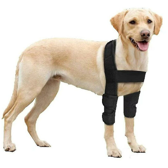 Heguyey - Breathable elbow brace for dogs, elbow and shoulder