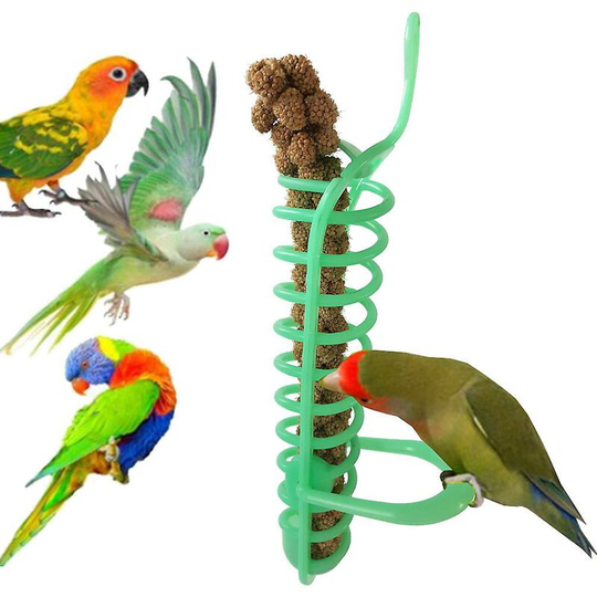 Parrot Feeder Basket Fruit Vegetable Plastic Feeding Perch Thsinde