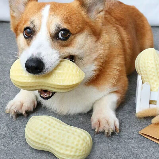 Dog Chew Toy Indestructible Peanut Chew Toy Interactive Teeth Cleaning Dog Training Toy Good Elasticity Milk Flavor Dog Toy