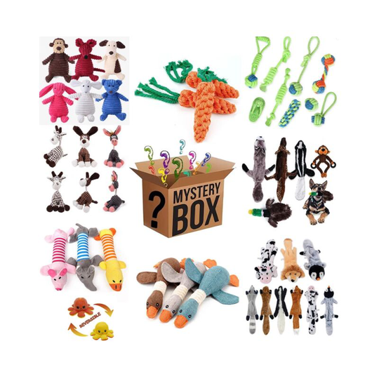 Surprise mystery box, toys for small and large dogs - Flkwoh