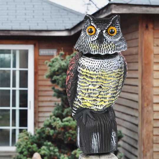 Frannie Guards Wind Action Owl