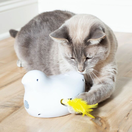 Petsafe Peek-A-Bird Electronic Cat Toy - White