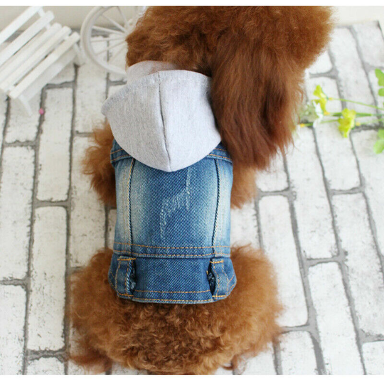 Washed jean jacket Jumpsuit Blue Jean clothes for small dog domestic animal