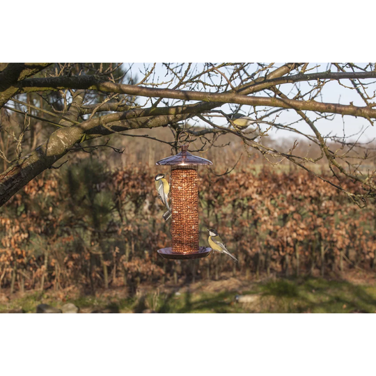 Perao Tube Bird Feeder