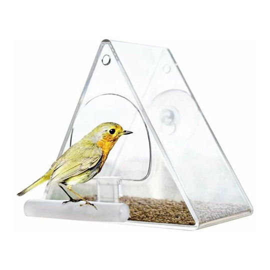 Bird Feeder with Window - Clear - With Metal Chain and Suction Cups - Food Dispenser for Small to Medium Size Birds - Outdoor