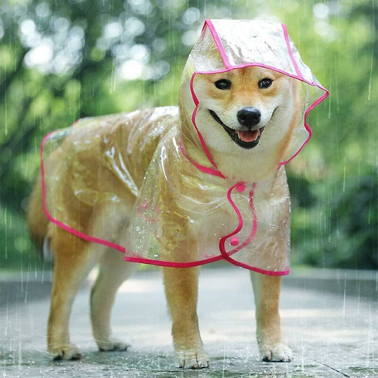 Raincoat For Dogs And Cats With Hood, Adjustable, Pvc, Transparent Thsinde k