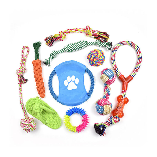Perle Rare - Dog Toys 10 durable dog toys for puppies. Puppy Teether Leash Chew Toys and Interactive Toys Dog Chew Toys with Carrot Slipper Cover