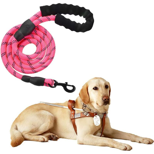 High Quality Black Reflective Strong Adjustable Nylon Dog Leash 150cm for Large or Medium Dogs