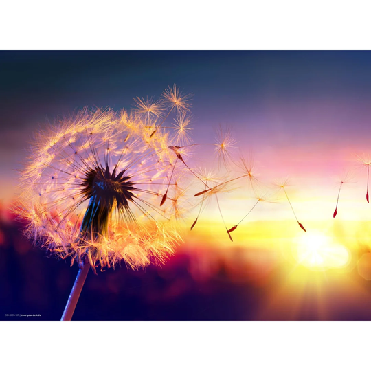 Dandelion in Sunlight Placemat