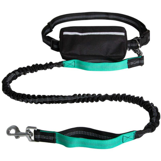 Asupermall - Hands-free Waist Dog Leash with Removable Zipper Pouch Reflective Strap Double Bungee Double Handles Night Running,model:Light green