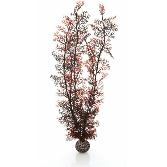 Sea Fan, Extra Large, Crimson - Biorb