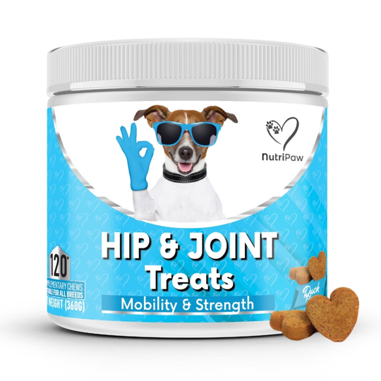 Advanced Hip & Joint Treats (Mobility & Strength)