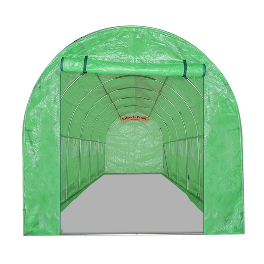 Tiggs 9.8 Ft W x 6.2 Ft D Greenhouse