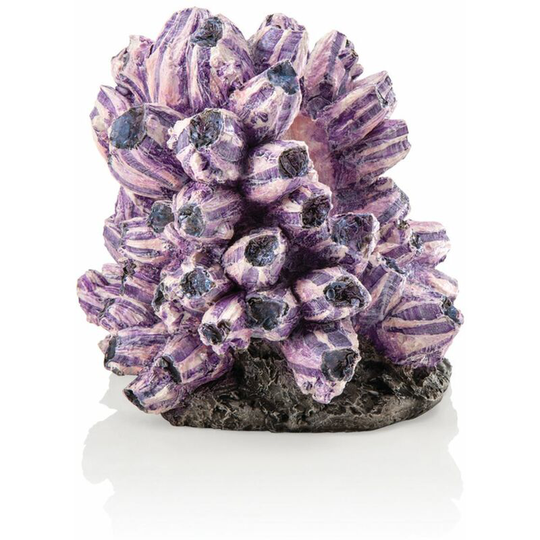 Biorb - 48359 Ornament Tendril Grape