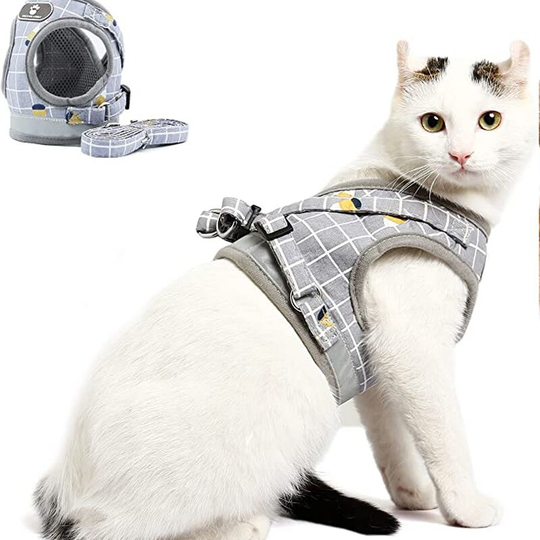 Perle Rare - Cat Harness 21 Straps 1.2m, Adjustable Leash for Kitten Harness, Puppy Harness and Puppy Breathable Anti-Escape Reflective Vest for Cat